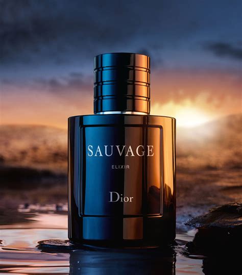 sauvage elixir 100ml|dior elixir 100ml price.